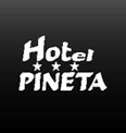 Hotel Pineta - Albergo Ponte di Legno